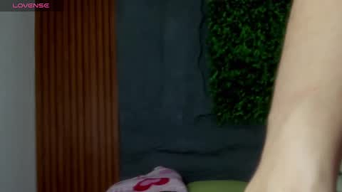 Snapshot of megan_hally chatting on January 23, 3:05 am Megan online show from January 23, 3:05 am