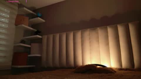     online show from November 14, 12:04 pm