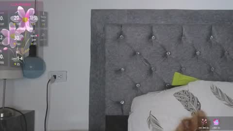 Snapshot of meghan_taylor__ chatting on February 24, 8:51 pm Meghan online show from February 24, 8:51 pm