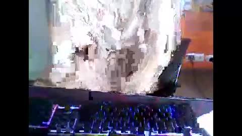 Snapshot of meks5544 chatting on April 12, 11:15 am meks5544 online show from April 12, 11:15 am