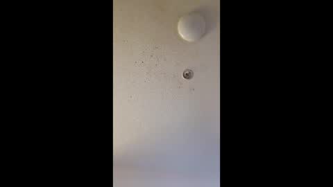 Snapshot of mel_hart_jr chatting on March 25, 7:47 am mel_hart_jr online show from March 25, 7:47 am