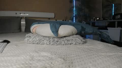  Start every day 2000 - 700 online show from February 15, 8:49 pm