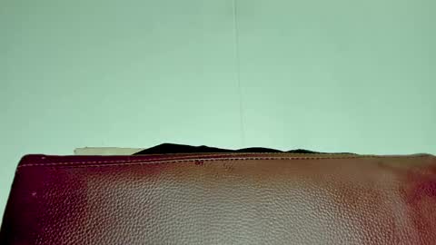 Melania online show from November 6, 3:51 am