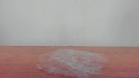 Melania online show from January 19, 12:31 pm