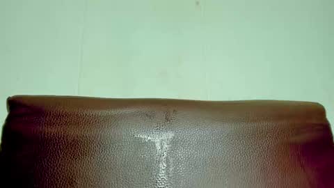 Snapshot of melania_browis chatting on March 27, 2:06 pm Melania online show from March 27, 2:06 pm