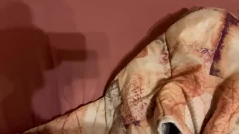 Snapshot of melissa9040 chatting on February 9, 11:20 pm melissa9040 online show from February 9, 11:20 pm