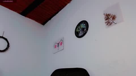 Snapshot of melissa_and_carol chatting on January 21, 2:22 am Carol - Dany online show from January 21, 2:22 am