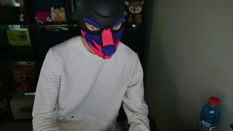 MellPUP online show from April 5, 1:14 am