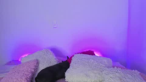    online show from March 5, 4:56 am