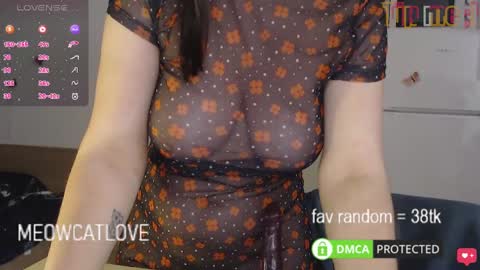 meowcatlove online show from January 26, 11:08 pm