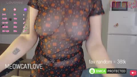 meowcatlove online show from January 27, 6:31 pm