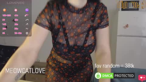 meowcatlove online show from January 29, 8:14 pm