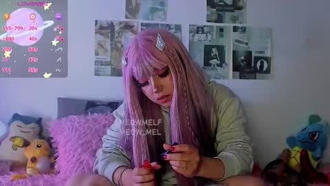 meowmelf online show from February 6, 6:44 pm