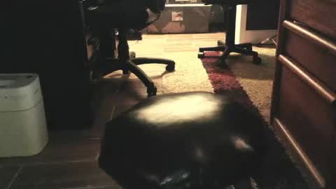 methorny online show from March 28, 4:45 am