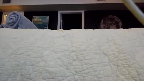 methorny online show from March 29, 6:02 am