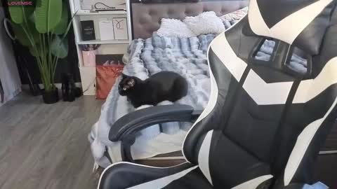 vollmond online show from February 13, 5:36 am