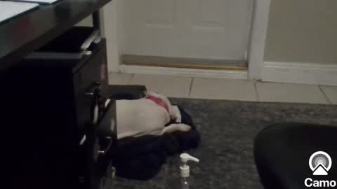 Snapshot of mg13999 chatting on January 6, 8:39 pm Mg13999 online show from January 6, 8:39 pm