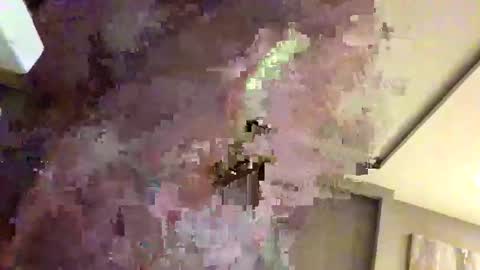 Snapshot of mi45419 chatting on February 22, 3:29 am mi45419 online show from February 22, 3:29 am