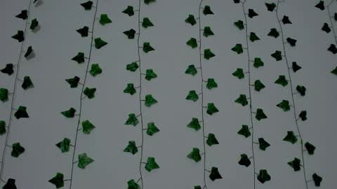 MIA online show from December 20, 9:33 pm