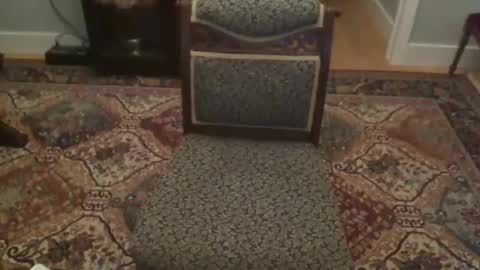 Snapshot of miamiwrestler chatting on December 22, 2:41 am miamiwrestler online show from December 22, 2:41 am