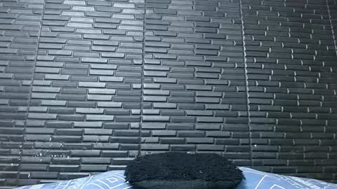 Snapshot of michael_daviss1 chatting on February 3, 12:47 pm Michael Daviss online show from February 3, 12:47 pm