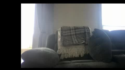 Snapshot of michaelt483 chatting on March 24, 9:53 pm michaelt483 online show from March 24, 9:53 pm