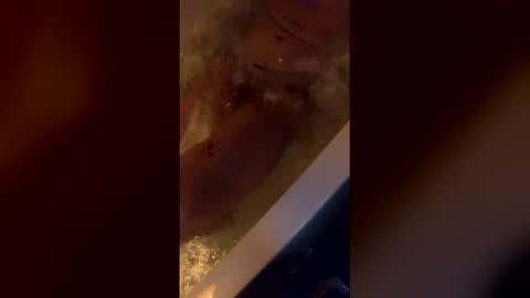 michelsexy69603790 online show from April 12, 3:44 am