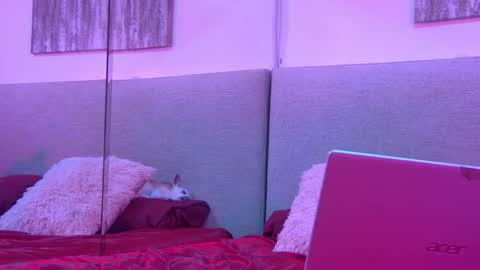 Snapshot of mickeyshyne69 chatting on November 27, 4:25 am Mickey online show from November 27, 4:25 am