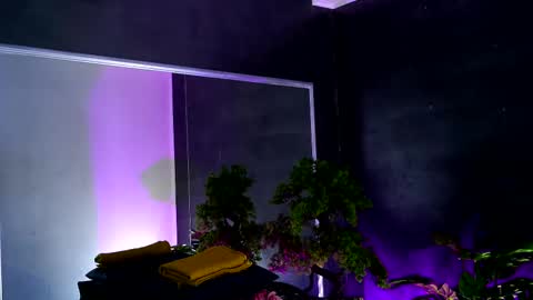 Snapshot of midnight_seduction chatting on February 13, 8:38 am Alice online show from February 13, 8:38 am