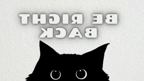 Mia online show from February 27, 9:20 am