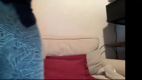MIke online show from May 22, 10:54 am