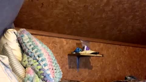 Snapshot of mikeblair5081 chatting on December 18, 2:06 am mikeblair5081 online show from December 18, 2:06 am