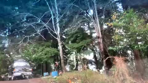 Snapshot of mikeblair5081 chatting on December 22, 7:55 pm mikeblair5081 online show from December 22, 7:55 pm