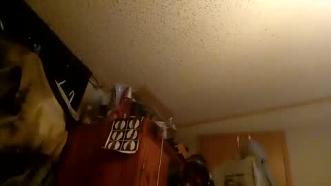 Snapshot of mikeymike974034420 chatting on September 22, 2:13 am mikeymike974034420 online show from September 22, 2:13 am