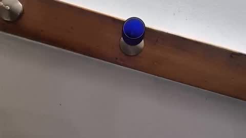 Snapshot of miky17cm chatting on January 12, 12:27 am miky17cm online show from January 12, 12:27 am