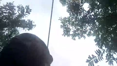 Snapshot of miky17cm chatting on January 12, 7:41 pm miky17cm online show from January 12, 7:41 pm