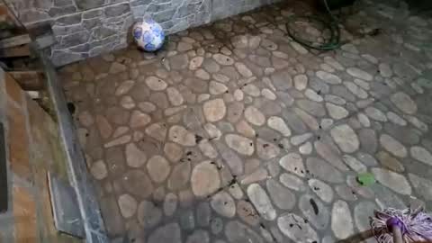 Snapshot of miky17cm chatting on January 15, 5:01 am miky17cm online show from January 15, 5:01 am