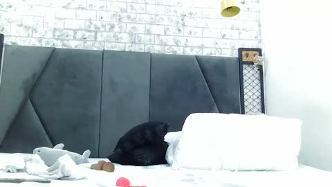 Snapshot of mila_adamss chatting on January 16, 5:01 pm mila_adamss online show from January 16, 5:01 pm