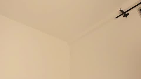 Snapshot of mila_monty__ chatting on February 14, 7:28 am online show from February 14, 7:28 am