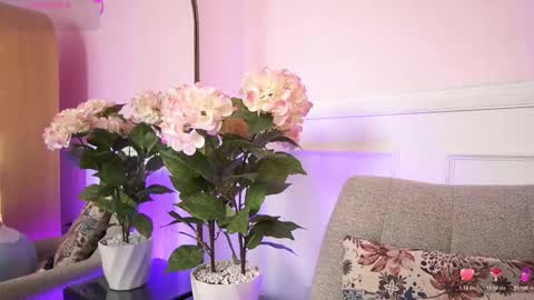 milacrave online show from February 6, 11:46 am