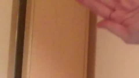 Snapshot of minamask chatting on March 23, 7:29 pm MinaMask online show from March 23, 7:29 pm