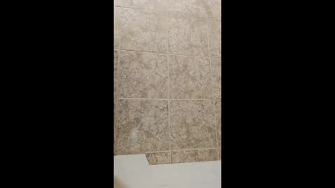 mineiro1514 online show from April 1, 2:34 am