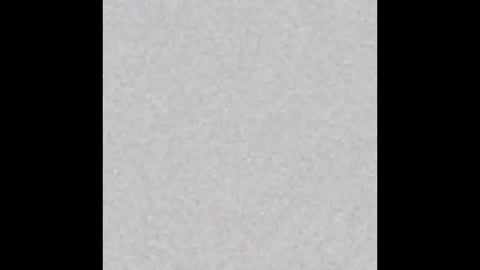 miniorganismo online show from December 14, 11:09 pm