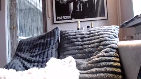 Ben online show from February 10, 9:02 am