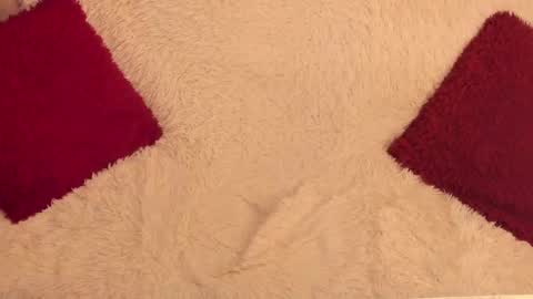 Snapshot of mis_brandy chatting on December 29, 2:52 pm Alexa online show from December 29, 2:52 pm