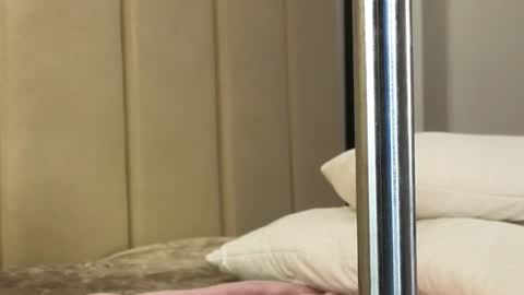 Snapshot of misatosan_ chatting on January 11, 1:11 pm Annie dont forget to thumbs up me online show from January 11, 1:11 pm