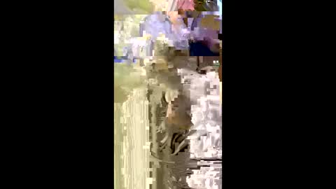 Snapshot of misnicol chatting on January 5, 7:50 pm Nicol online show from January 5, 7:50 pm