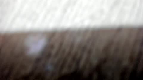 Cataleya online show from December 2, 11:48 am