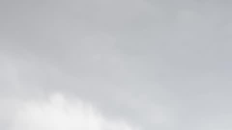 miss_divora online show from February 5, 7:51 pm