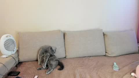 Kitty online show from May 16, 3:36 am